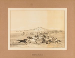 Villihevoset leikkimässä - ei. 3 tekijältä George Catlin