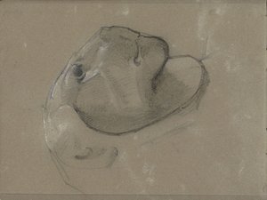 Leijonan pää, oletettavasti veistoksen jälkeen tekijältä George Clausen