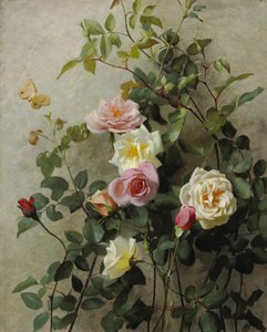 Ruusuja seinällä, 1877