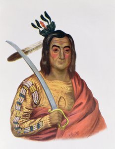 Mou-Ka-Ush-Ka tai "The Trembling Earth", Yankton Sioux -päällikkö, kuvitus teoksesta "The Indian Tribes of North America", Thomas L. McKenney ja James Hall, pub. kirjoittanut John Grant