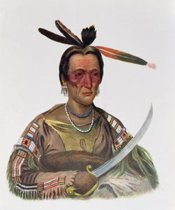 To-Ka-Cou, Yankton Sioux -päällikkö, 1837, kuvitus teoksesta "The Indian Tribes of North America, Vol.1", kirjoittaneet Thomas L. McKenney ja James Hall, pub. kirjoittanut John Grant