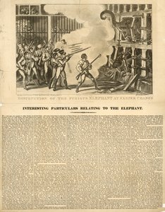 Raivostuneen norsun tuhoaminen Exeter Changeissa tekijältä George Cruikshank