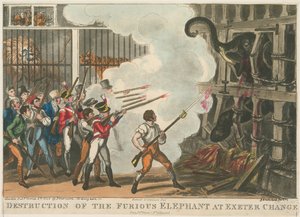 Raivostuneen norsun tuhoaminen Exeter Changessa, 1826 tekijältä George Cruikshank