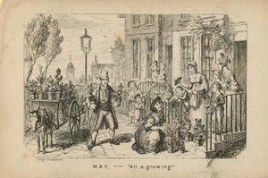 Toukokuu - kaikki kasvaa tekijältä George Cruikshank