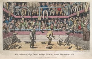 Rottien tappaminen, "Elämä Lontoossa jne.", Pierce Egan tekijältä George Cruikshank