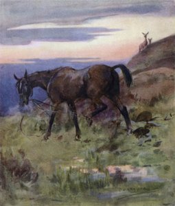 Kuvitus kirjaan The Story of a Red Deer (väri litho) tekijältä George Denholm Armour