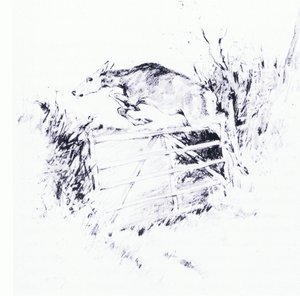 Kuin nuoli jousesta (litho) tekijältä George Denholm Armour