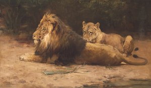 Lion and Lioness at Rest (öljy kankaalle)