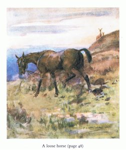 El cavall solt (litografia de color) finlandès