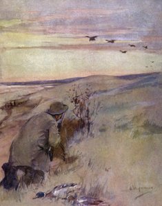 Villi lintu: lentäminen (väri litho) tekijältä George Denholm Armour