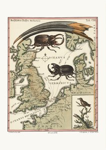 Egyptiläisen ibiksen ja pienimmän hummingbirdin lasku, 1749-73