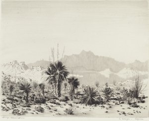 Mirage, Arizona tekijältä George Elbert Burr
