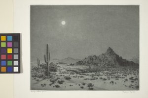 Arizonan yö tekijältä George Elbert Burr