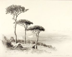 Capri Sorrentosta tekijältä George Elbert Burr