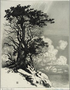 Montereyn rannikko, Kalifornia tekijältä George Elbert Burr