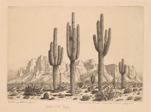 Desert Sentinels, Apache Trail, Arizona tekijältä George Elbert Burr