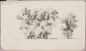 Elms--Eton, Englanti tekijältä George Elbert Burr