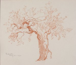 Fiesole tekijältä George Elbert Burr