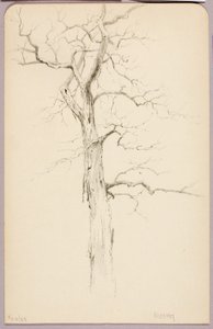 Hickory tekijältä George Elbert Burr