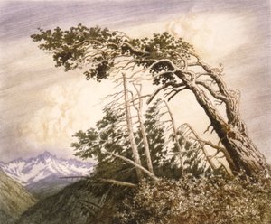 Tuulten koti [nro 2] tekijältä George Elbert Burr