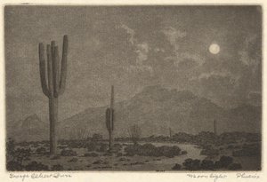 Moonlight-Phoenix tekijältä George Elbert Burr