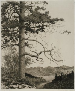 Old Pine, Estes Park tekijältä George Elbert Burr