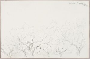 Oliivit-Fiesole tekijältä George Elbert Burr