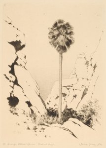 Palm Canyon (nro 1) tekijältä George Elbert Burr