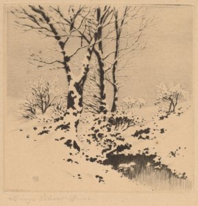 Lumi tekijältä George Elbert Burr