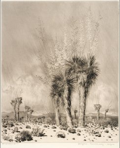 Kevät, Paradise Valley, Arizona tekijältä George Elbert Burr