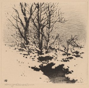Ensimmäinen lumi (nro 2) tekijältä George Elbert Burr