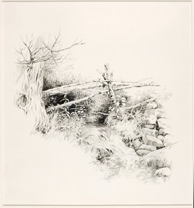 Nimetön (Woodland Stream) tekijältä George Elbert Burr