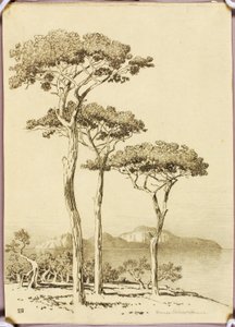 Nimetön (siirtopiirros: Capri Sorrentosta)