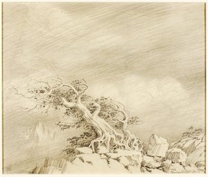 Nimetön (siirtopiirustus Storm near Timberline) tekijältä George Elbert Burr