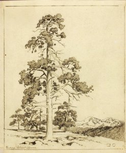 Nimetön (siirtopiirros grafiikanvedosta varten) tekijältä George Elbert Burr