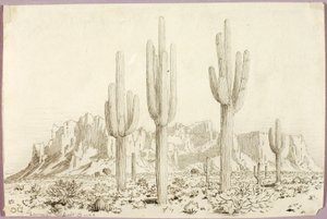 Untitled tekijältä George Elbert Burr