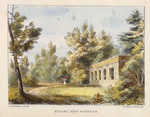 Aviary, Kew Gardens, levy 10 Kew Gardens: A Series of Twenty-Four Drawings on Stone, kaiverrettu Charles Hullmandel (1789-1850), julkaistu 1820 (käsinvärinen litho)