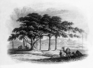 "Runjeet Singhin leiripaikka Roopurissa, Sutlej-joella", 1838.