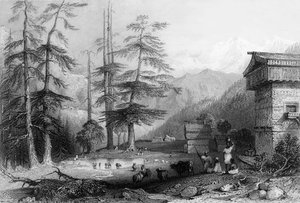 "Kogheran kylä ja Deodar Forest, lähellä Chooria", 1838.