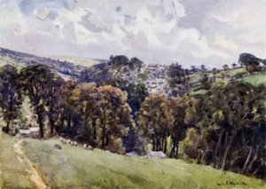 Camelford (väri litho) tekijältä George Franck Nicholls