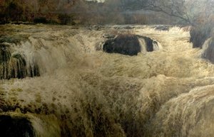 Salmon Leap, Cenarth Falls, Cardiganshire, Wales, 1878 tekijältä George Frank Miles