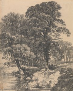 Metsäinen maisema uima-altaalla