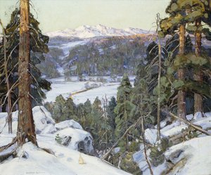 Männyt talvella