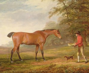 Lahden hevonen, jota tallipoika lähestyi ruuan ja riimun kanssa, 1789