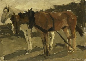 Um cavalo marrom e um cavalo branco em Scheveningenfinnish tekijältä George Hendrik Breitner