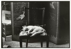 Kissa tuolilla Breitnerin studiossa Amsterdamissa tekijältä George Hendrik Breitner