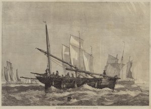Makrilli-veneet menossa