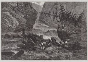 Kanadan puukauppa, tukoksen selvittäminen tekijältä George Henry Andrews