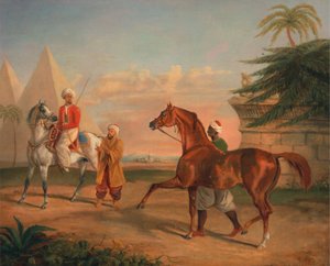 Mameluke ostaa arabialaisen orin
