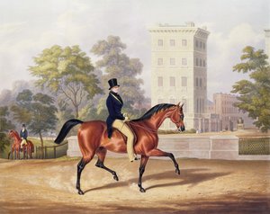 Anglesean markiisi ratsain Hyde Parkissa, 80 vuotta, kaiverrus J. Harris, 1847 (värikaiverrus)